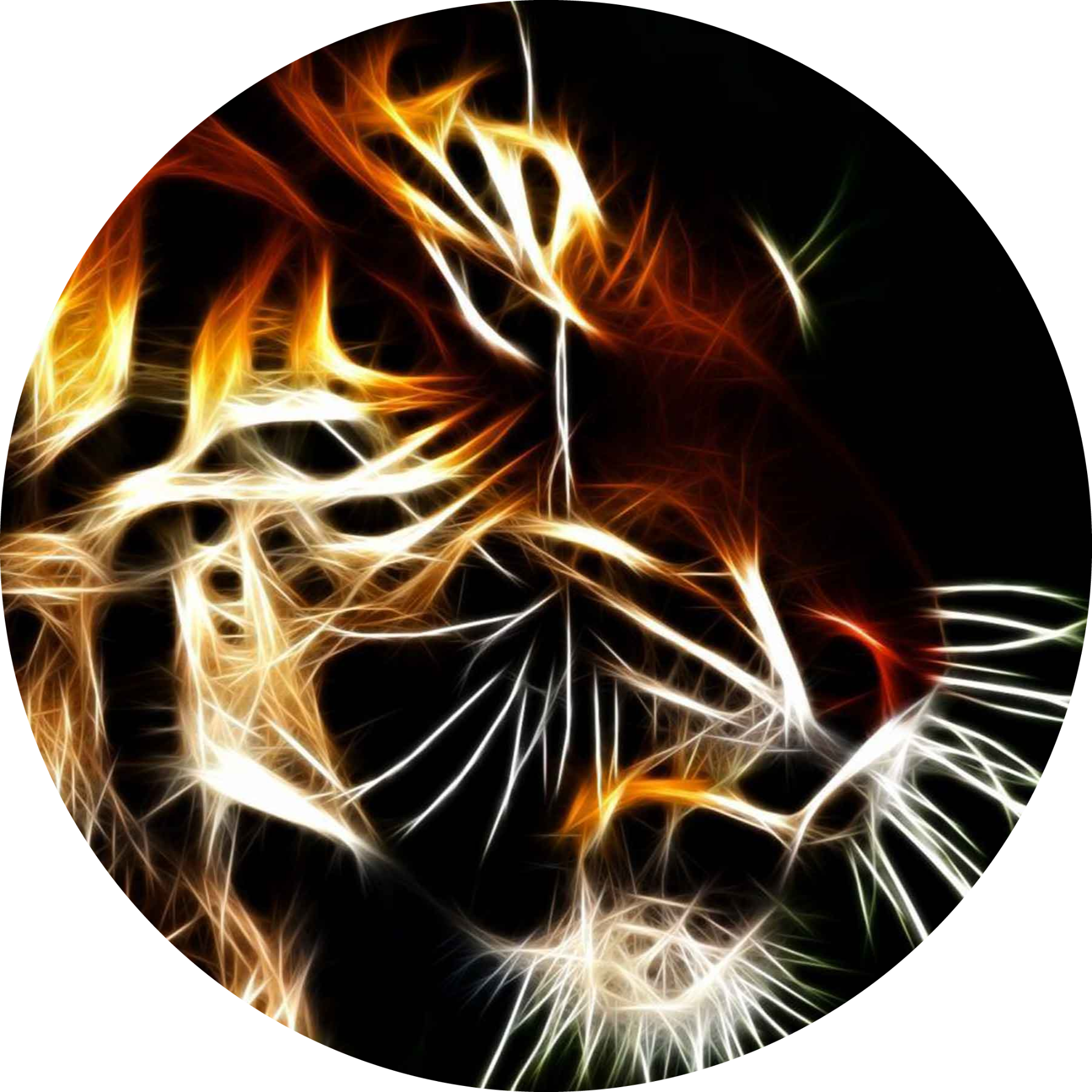 Tiger's Lair
