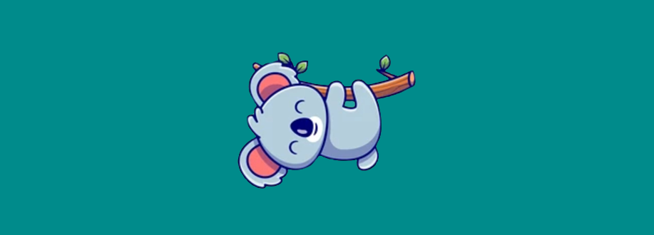 Promo Banner