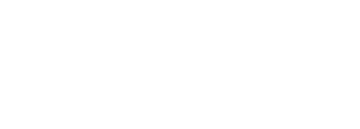 Promo Banner