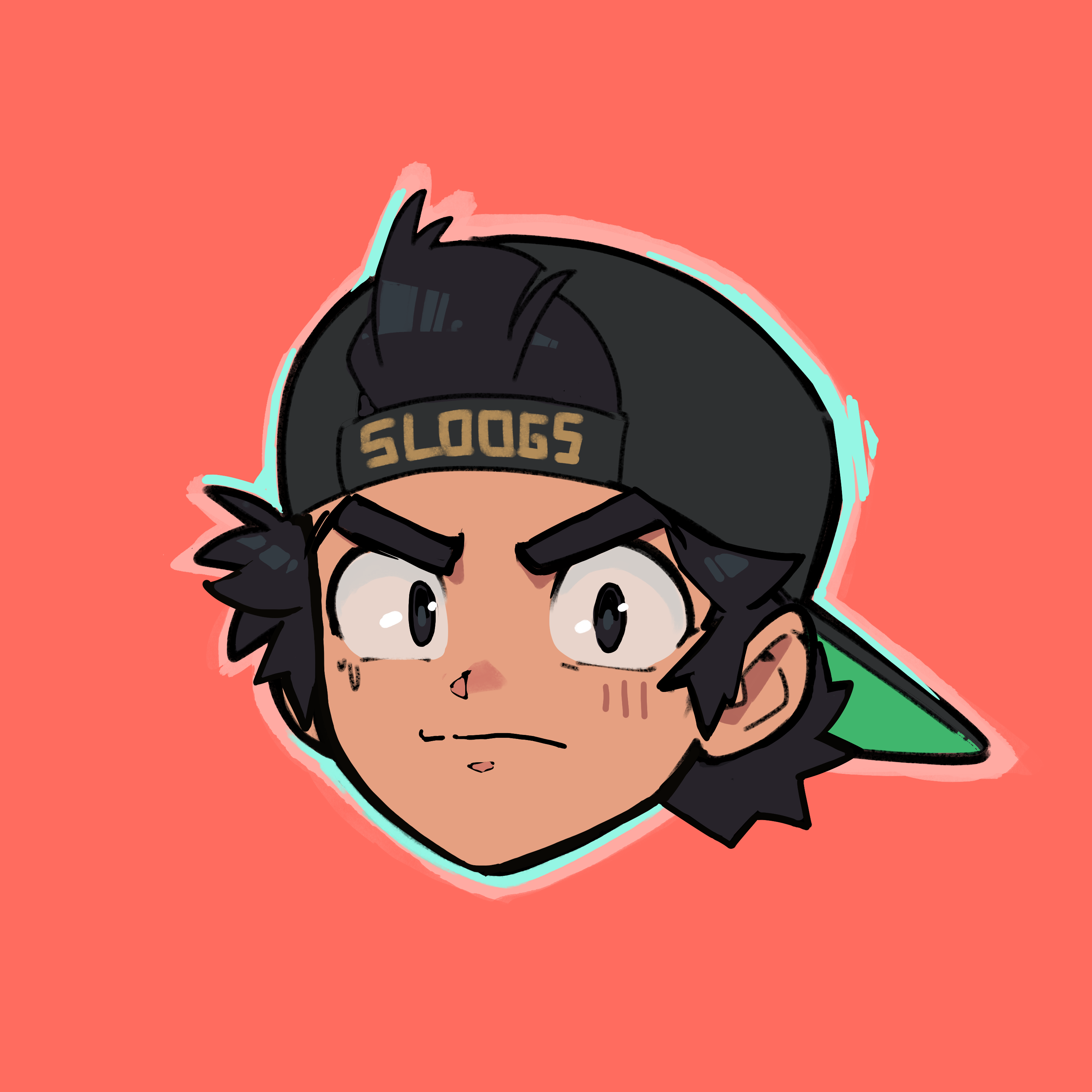 DSLOOGS
