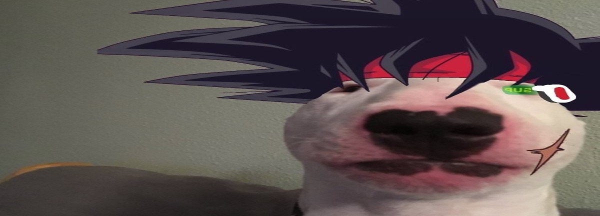 Promo Banner