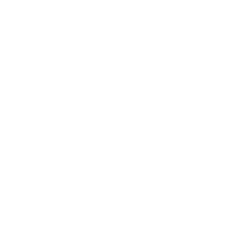Nervyr
