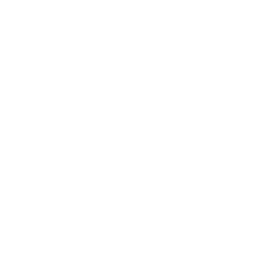 Nexus