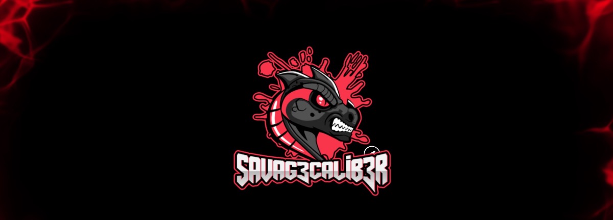 Promo Banner