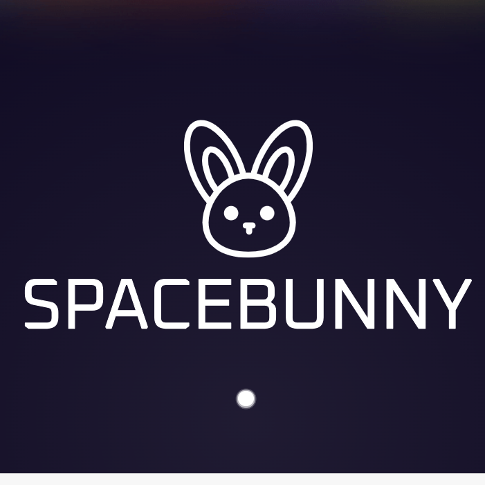 SpaceBunny