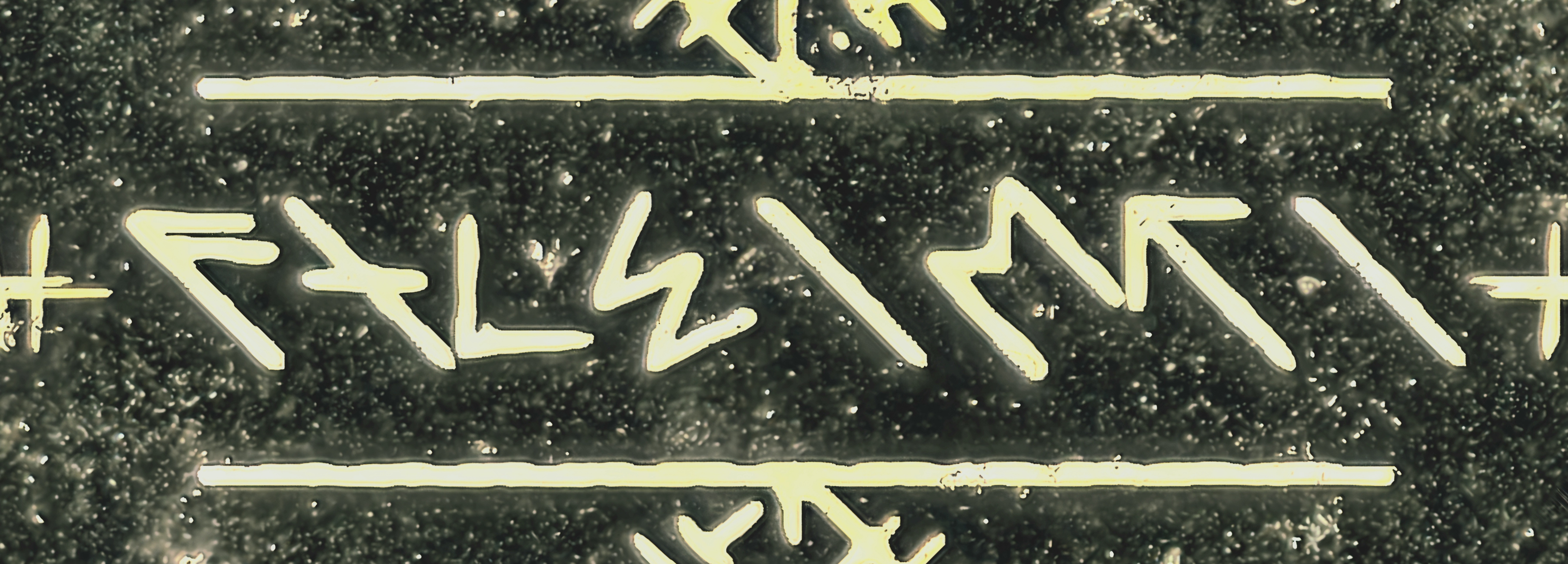 Promo Banner