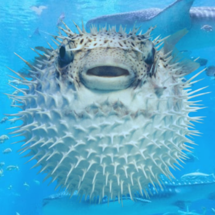 Rogers Aquarium