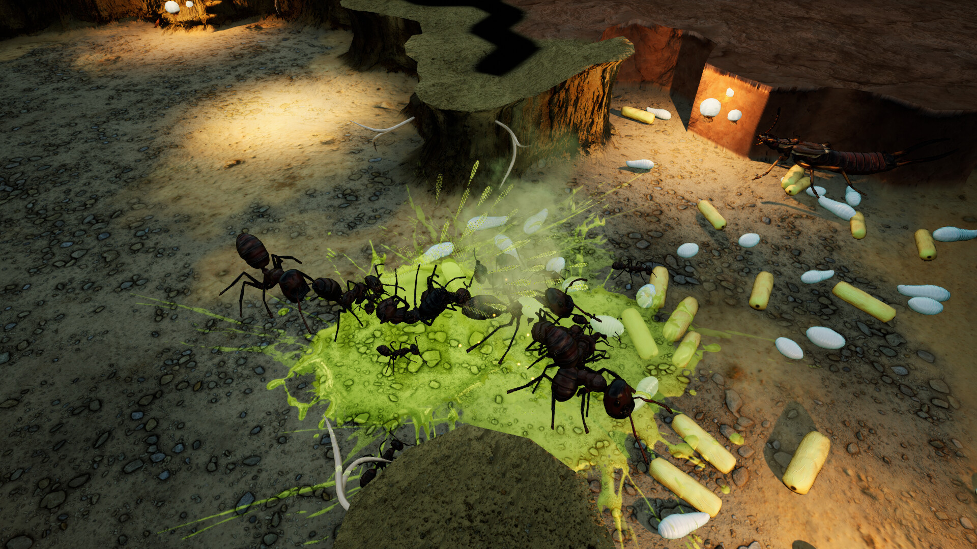 Empires of the Undergrowth - Exploding Ants screenshot 3