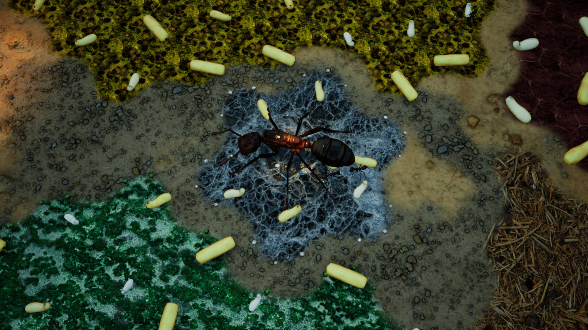 Empires of the Undergrowth - Exploding Ants screenshot 9