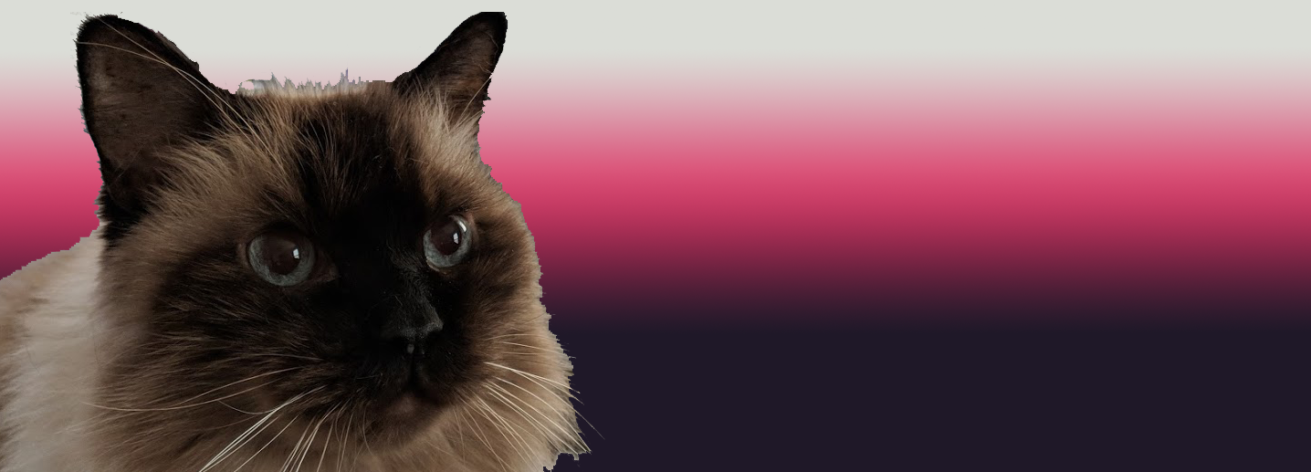 Promo Banner