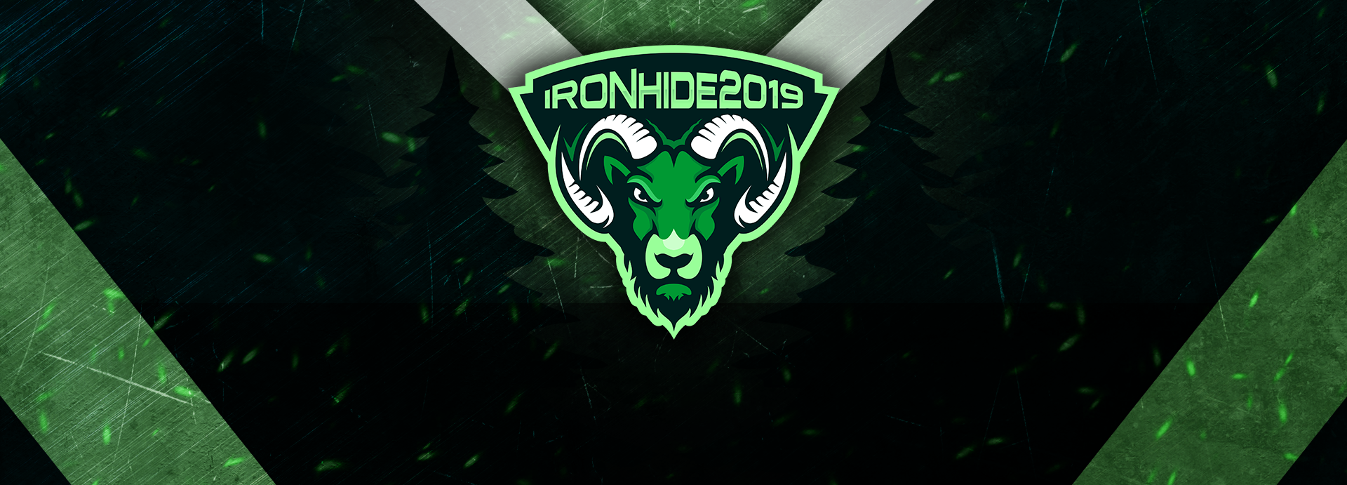 Promo Banner