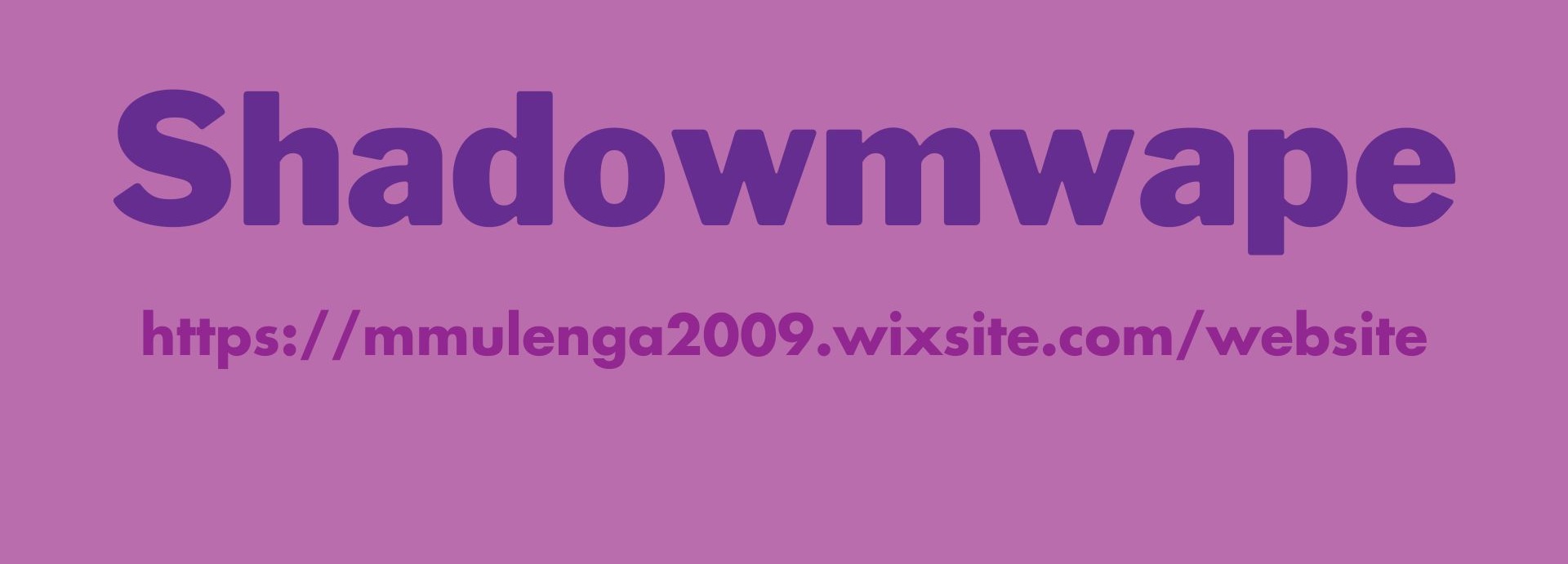 Promo Banner