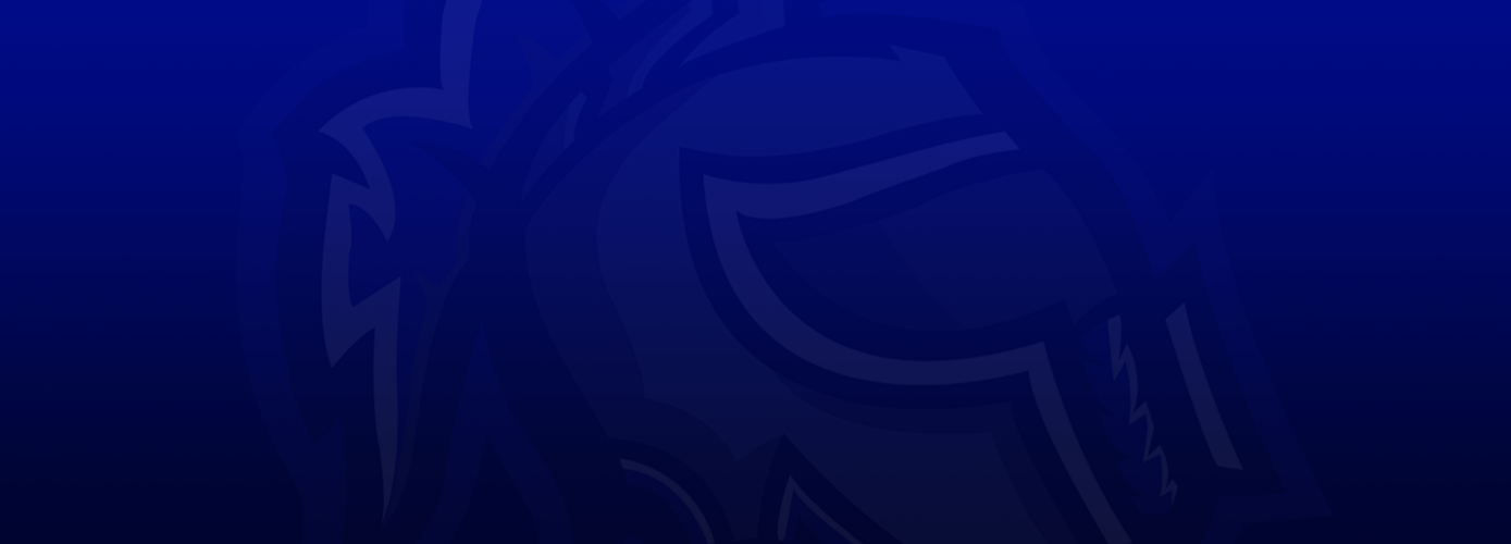Promo Banner