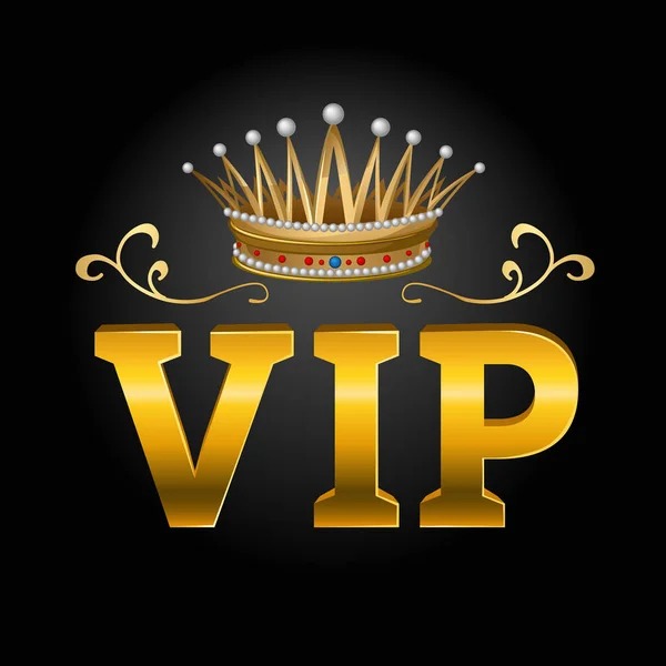 _VIP.basha